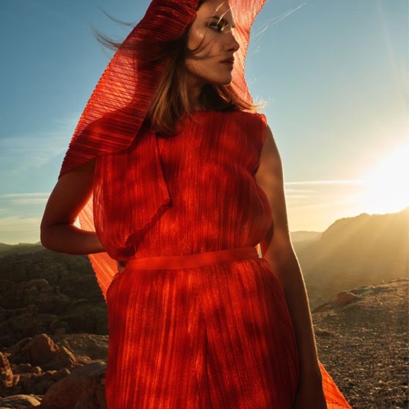 BOSS Hugo Boss Runway Edition Deliri Pleated - Picture 2 of 5